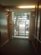 Coração do Flamengo