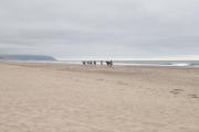 Top Pacific City