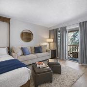 Sweet Ski-In Ski-Out Snowflower Studio condo