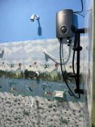 Shan guest rooms