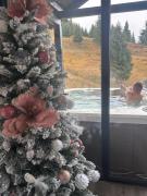 Cuibul lui Răzvan - Domeniul Barabuc Colibița