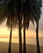 Top Badalona