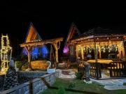 Tomas Nest-თომას ბუდე