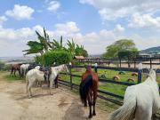 Monte Castelo Flat Temporada