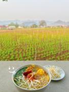 Top Mộc Châu
