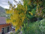 Top Monistrol-dʼAllier