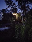 LilliputHaven Treehut