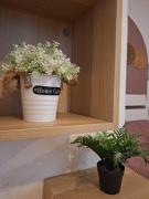 Top Bratislava Top Bratislava