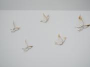 Top Sanlúcar de Barrameda