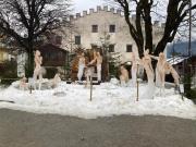 Premium App Hofer Monika