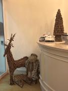 Top Gabicce Mare Top Gabicce Mare