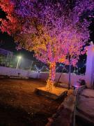 Top Salamís Top Salamís