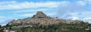 Top Morella