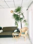 Summer House Weligama