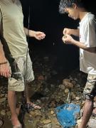 Rinte Green Village & Bukit Lawang Jungle Trekking