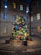 Magic Attic in Historical House