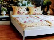 Apartment Am Birkenwäldchen by Interhome