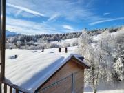 Apartment MyGrischa by Interhome