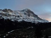 Top Grindelwald