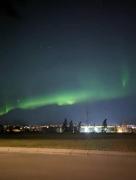 Calgary Star Cozy Home