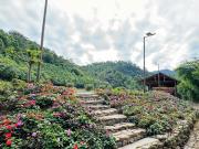 Kỳ Thượng Am Váp Farm