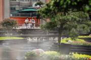 Top Chengdu