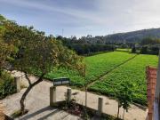 Top Cat Tien Top Cat Tien