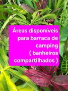 Casa na mata ceu iluminado