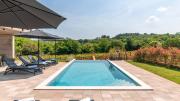 Beautiful villa Perlin with pool in Visnjan