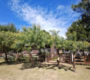 Mis abuelos Nueva Atlantis