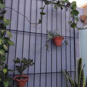 Rosa dos ventos suíte 1