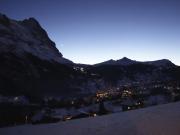 Top Grindelwald