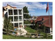 Apartment Hälmli by Interhome