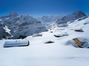 Top Grindelwald