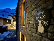 Tiny House IBEX