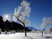 Top La Punt-Chamues-ch