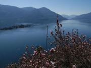 Top Ronco sAscona - Porto Ronco