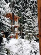 ECHIVITI Cottages in Abastumani