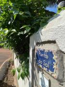 Top Dona Paula