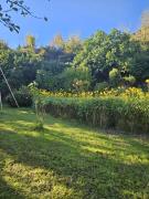 Top Montbrun-les-Bains