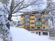 Apartment Design Chalet in Bad Kleinkirchheim by Interhome