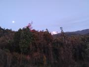 Cabaña colonia río sur