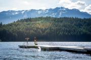 Top Whistler
