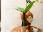 Top Santa Cruz Cabrália