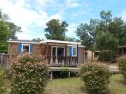 Mobil home 26m² avec terrasse à Soustons, camping nature - API-1-52-1345