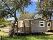 Mobil home 26m² avec terrasse à Soustons, camping nature - API-1-52-1345