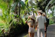 Top Ubud