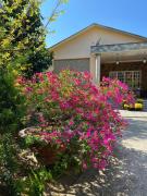 Hoàng hôn Farm stay- Homestay 2