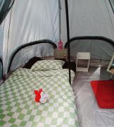 Kalaland camp patong