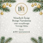 BM Apartament